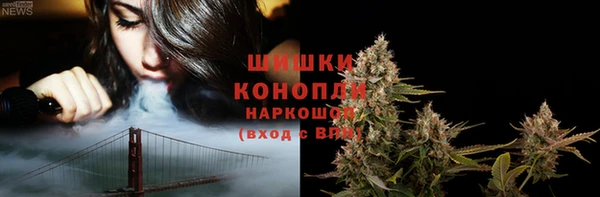 PSILOCYBIN Покров