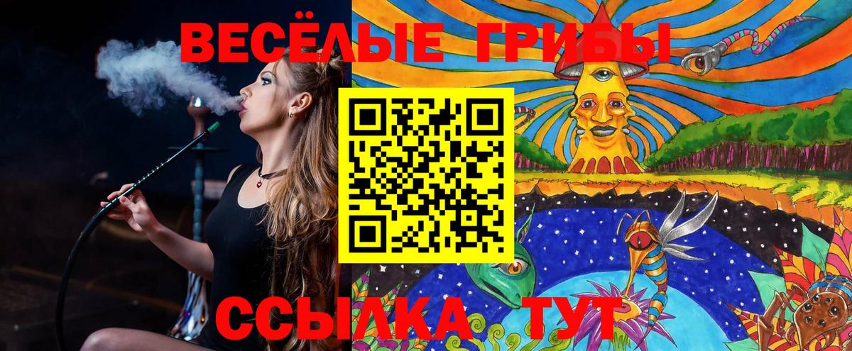 продажа наркотиков  Галлюциногенные грибы ЛСД  Вход с VPN  Саяногорск 