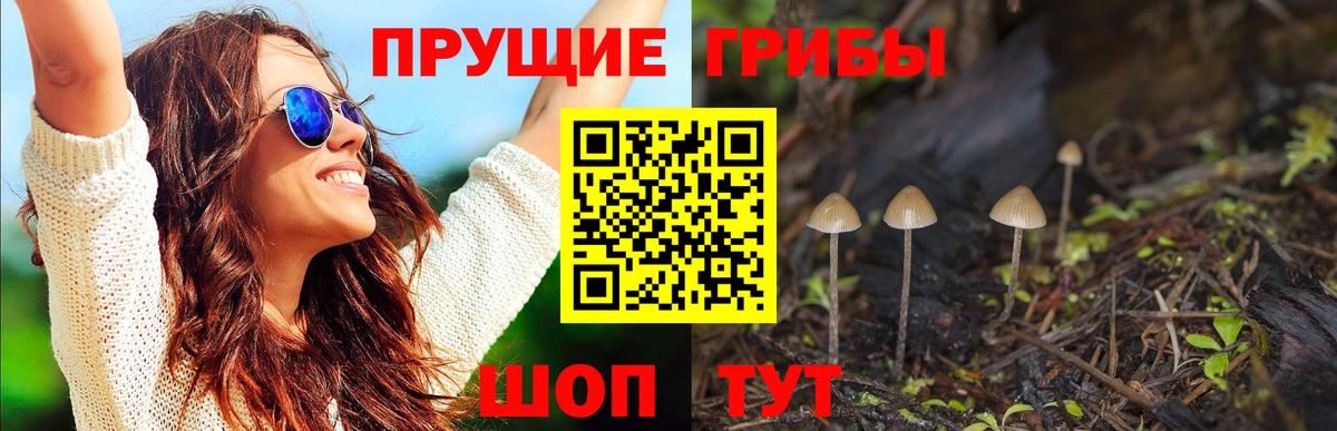 Галлюциногенные грибы мухоморы Саяногорск