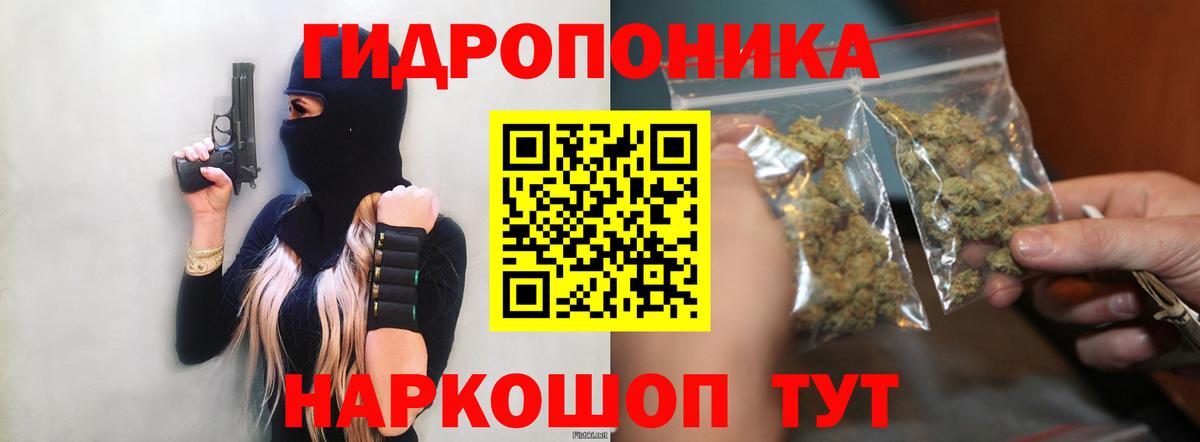 Саяногорск  Бошки марихуана THC 21%  Канабис семена  Бошки Шишки индика  Вход с VPN  Каннабис план 
